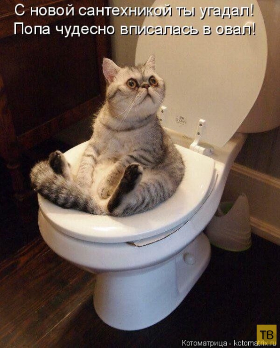 ���������� ����������� (49 ����)