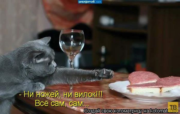 ���������� ����������� (49 ����)