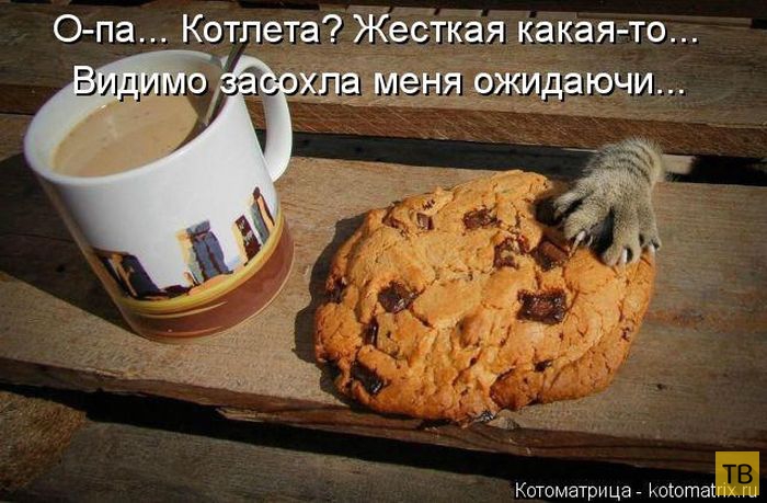 ���������� ����������� (49 ����)