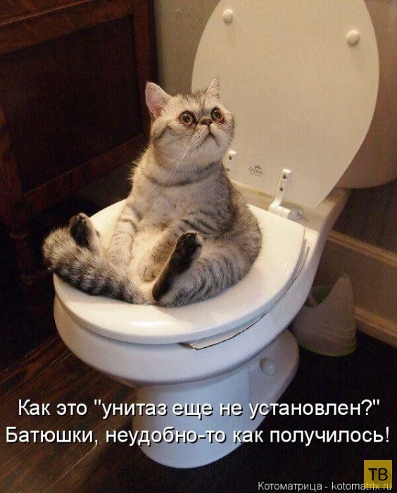 ���������� ����������� (49 ����)