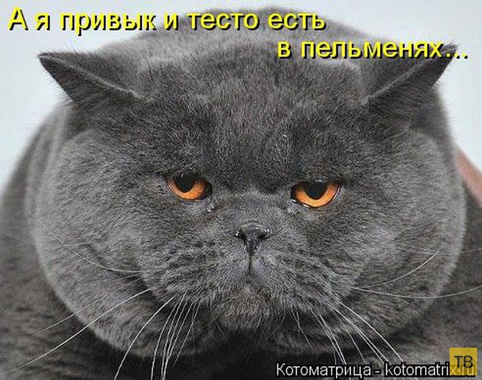 ���������� ����������� (49 ����)