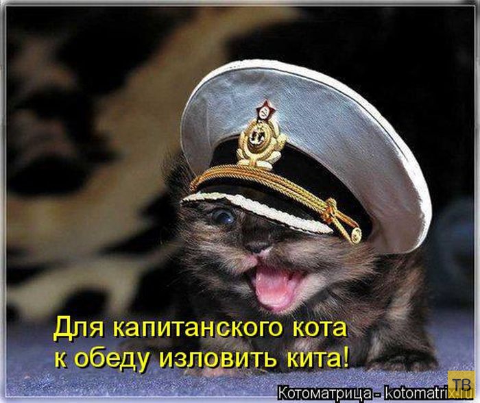 ���������� ����������� (49 ����)