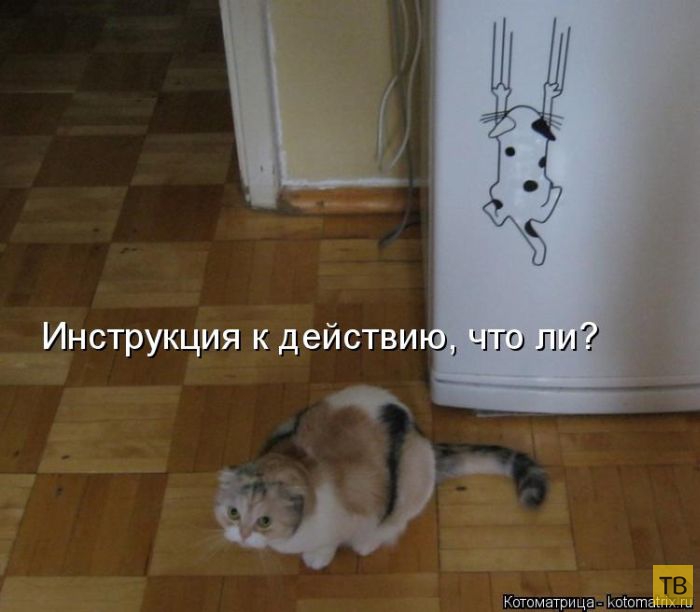 ���������� ����������� (49 ����)