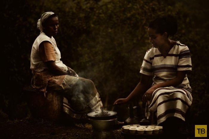 Как выращивают и пьют кофе в Эфиопии (8 фото)