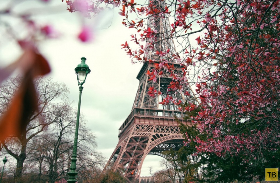 Хочу во Францию (22 фото)