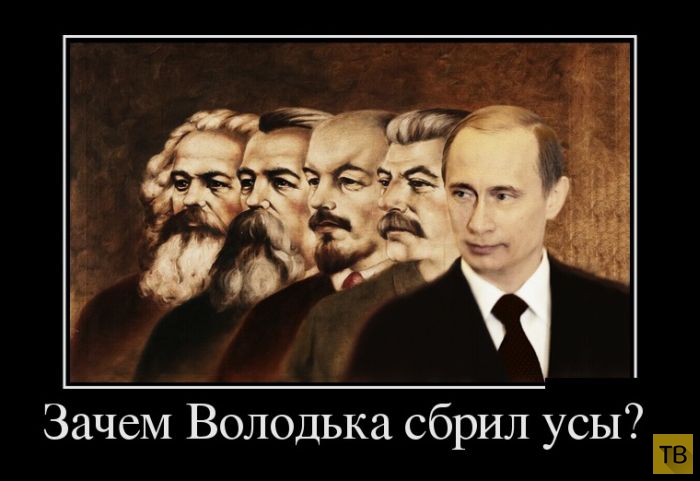зачем володька сбрил усы. зачем сеня сбрил усы. володька сбрил усы. володька ты зачем усы сбрил. почему володька сбрил усы.