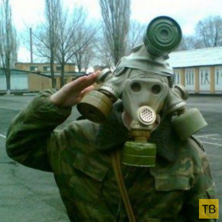 ��������� ������� � ������� (25 ����)