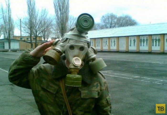 ��������� ������� � ������� (25 ����)