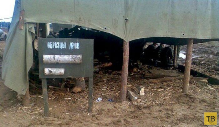 ��������� ������� � ������� (25 ����)