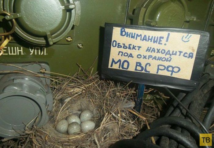 ��������� ������� � ������� (25 ����)