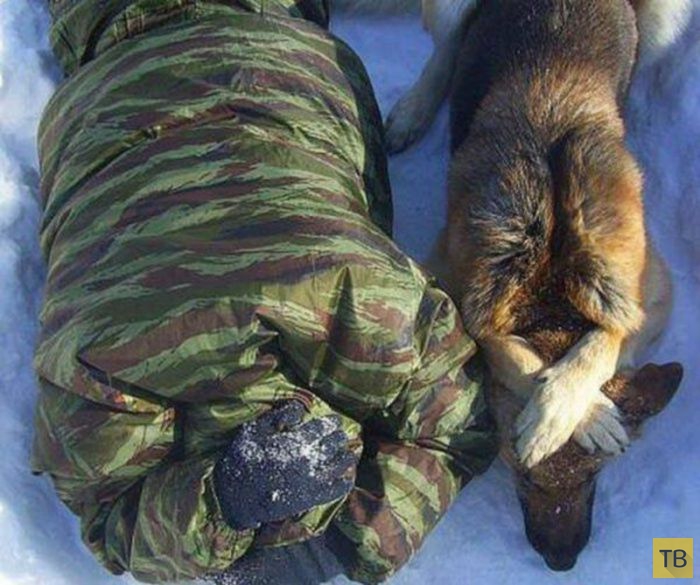 ��������� ������� � ������� (25 ����)