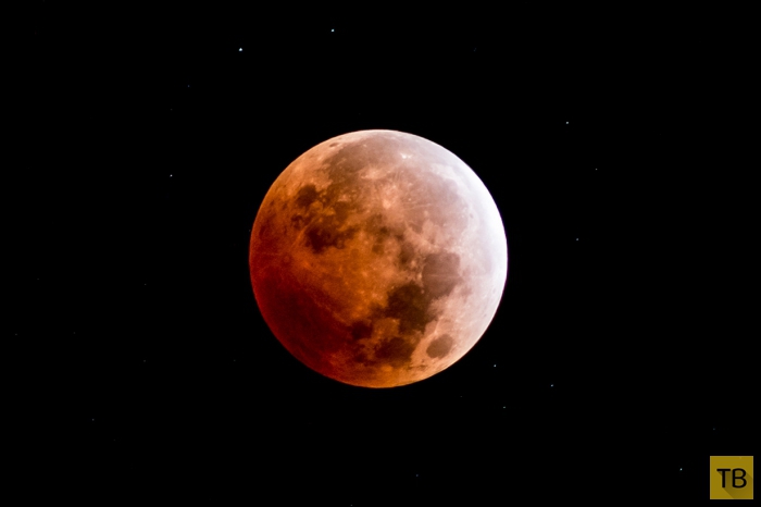 Полное лунное затмение - 8 октября 2014 г (6 фото)