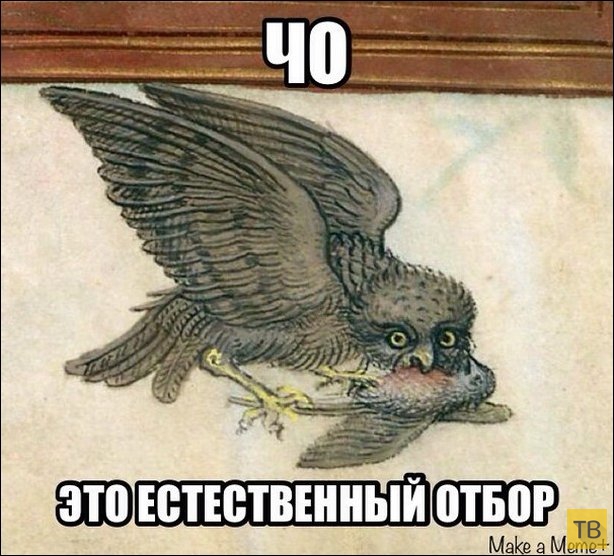 ������������� �������� � ������������ ��������� (30 ����)