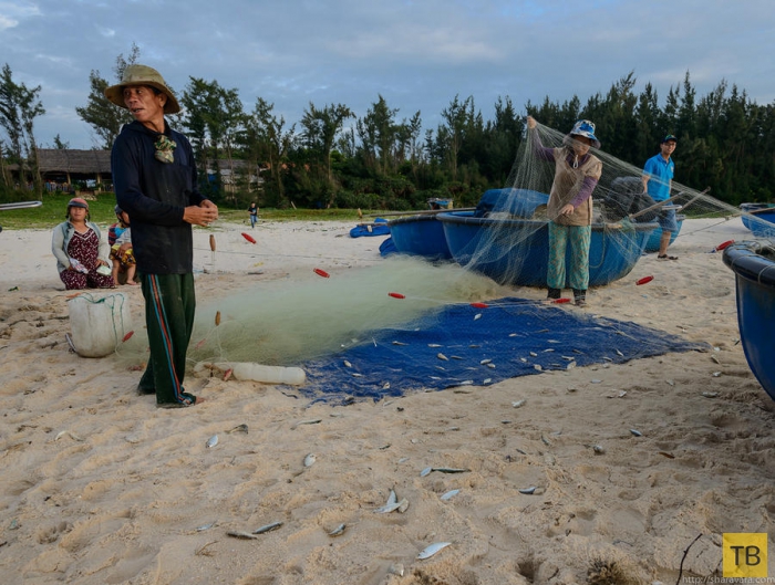 Вьетнамские рыбаки (16 фото)