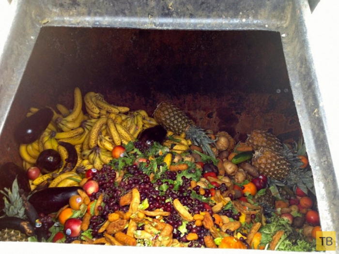 Еда из мусорных контейнеров (19 фото)