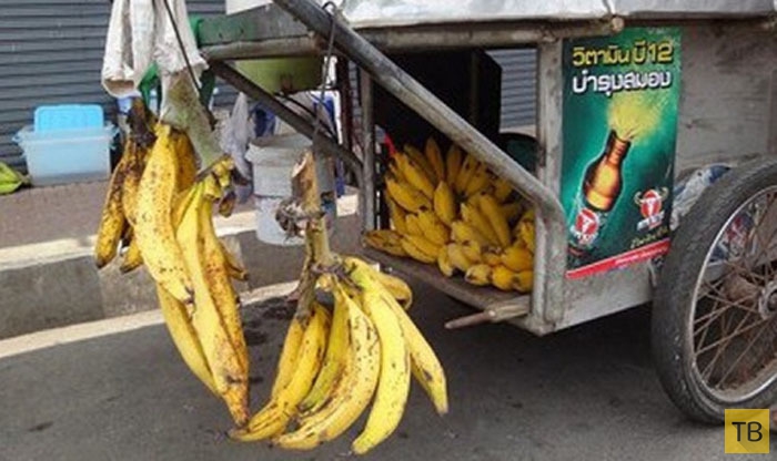 Топ 10: Самые редкие и необычные виды бананов (11 фото)