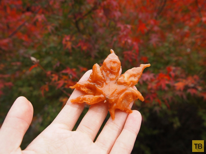 Японское лакомство из листьев клёна (8 фото)