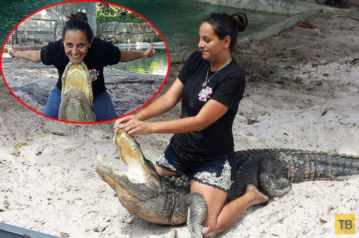 Беременная женщина из Флориды участвует в схватках с аллигаторами (8 фото)