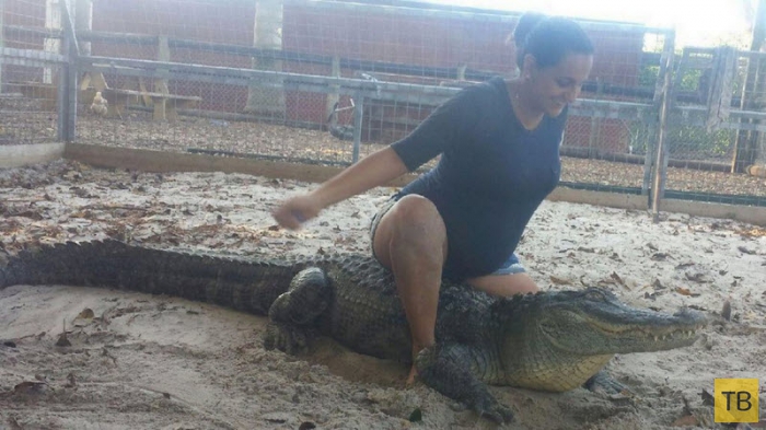 Беременная женщина из Флориды участвует в схватках с аллигаторами (8 фото)