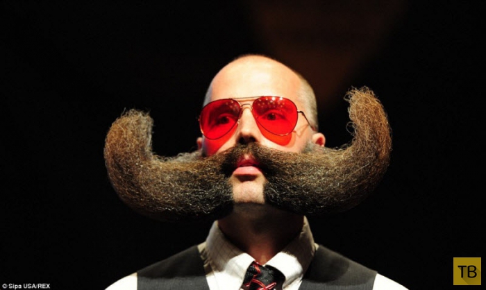 Бородачи Всемирного чемпионата бороды и усов (14 фото)