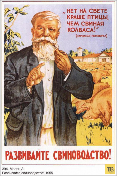 ���������� ������� � ���� (20 ����)