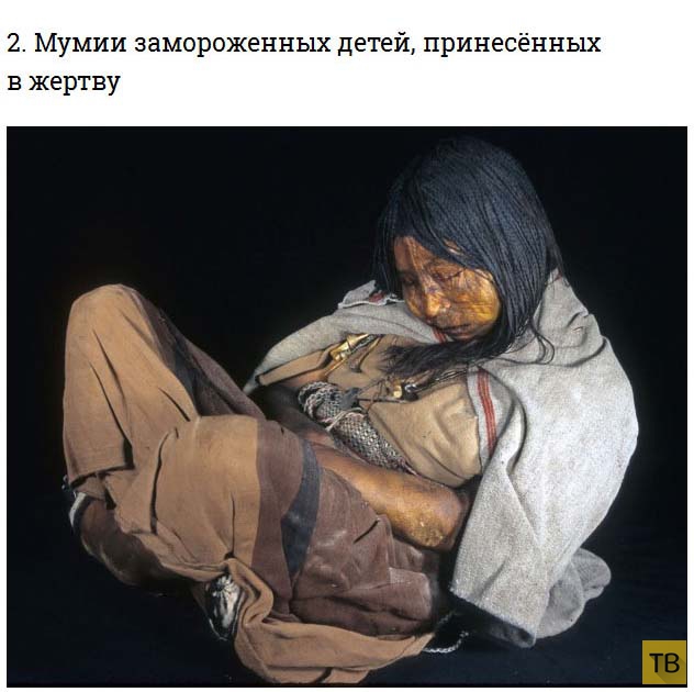 ��� 6: �������� ������� ���������� (13 ����)