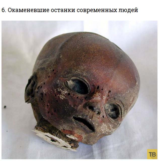 ��� 6: �������� ������� ���������� (13 ����)