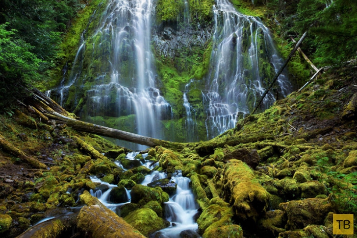 Восхитительная дикая природа в фотографиях с конкурса «Wilderness Forever» (31 фото)