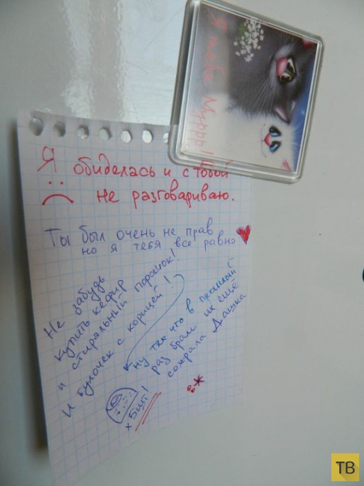 Подборка прикольных записок на холодильнике (21 фото)