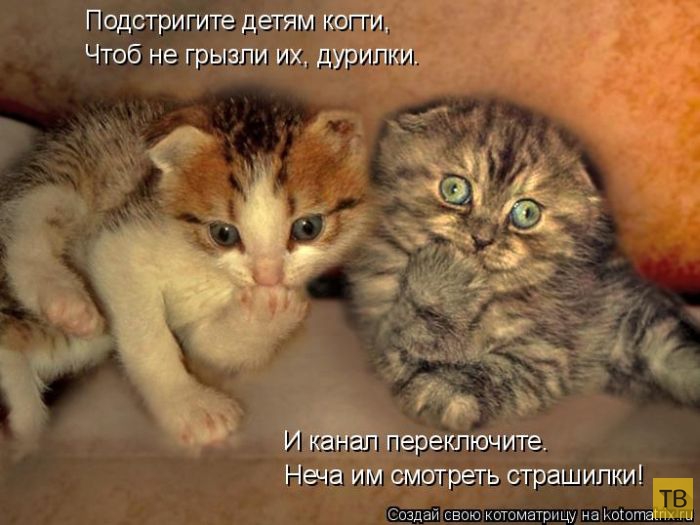 ������ ����������� ������, ����� 14 (50 ����)