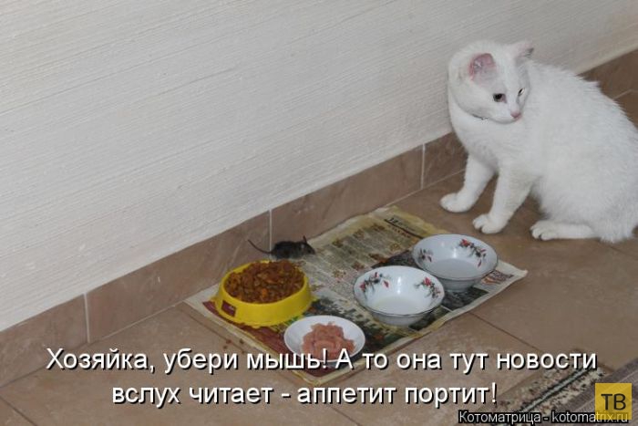 ������ ����������� ������, ����� 14 (50 ����)