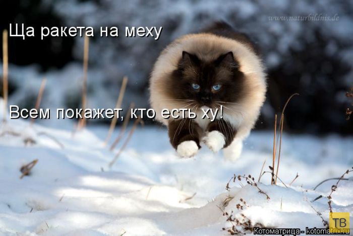 ������ ����������� ������, ����� 14 (50 ����)