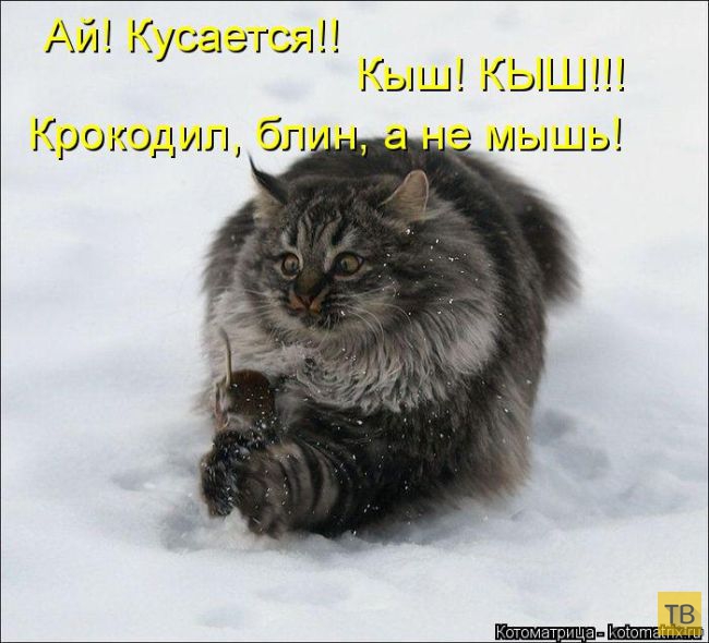 ������ ����������� ������, ����� 14 (50 ����)