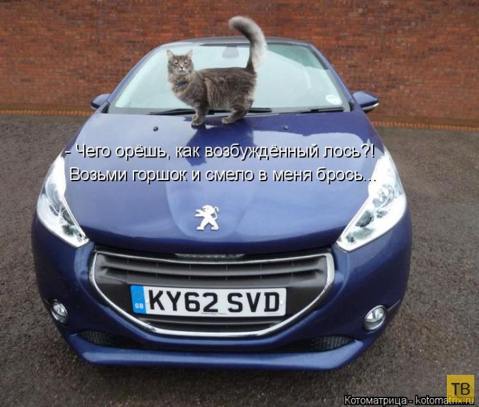 ������ ����������� ������, ����� 14 (50 ����)