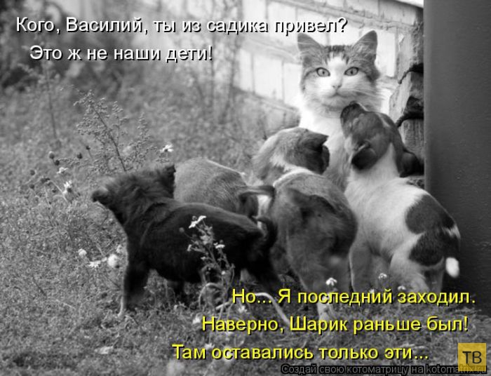 ������ ����������� ������, ����� 14 (50 ����)