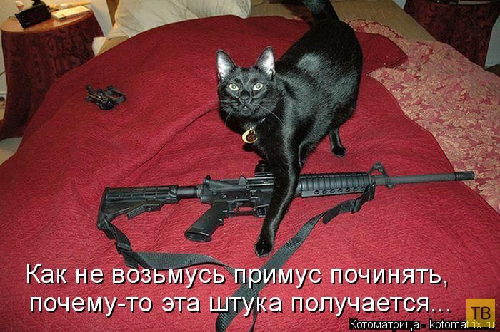 ������ ����������� ������, ����� 14 (50 ����)