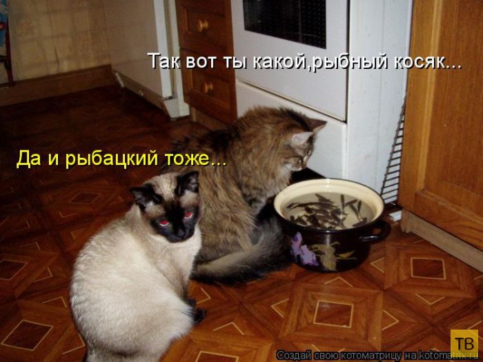 ������ ����������� ������, ����� 14 (50 ����)