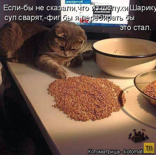 ������ ����������� ������, ����� 14 (50 ����)