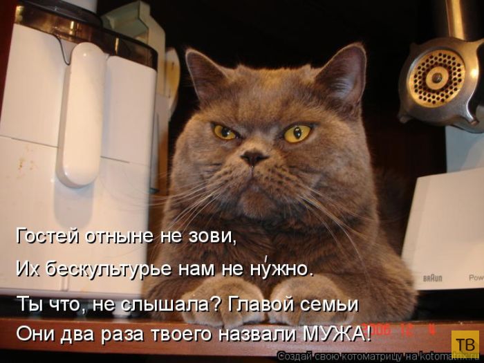 ������ ����������� ������, ����� 14 (50 ����)