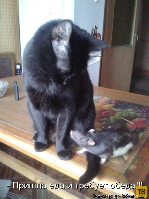 ������ ����������� ������, ����� 14 (50 ����)