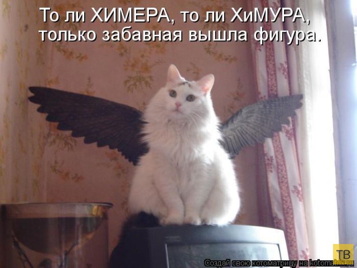 ������ ����������� ������, ����� 14 (50 ����)