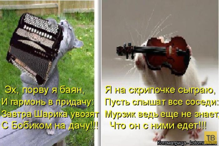 ������ ����������� ������, ����� 14 (50 ����)