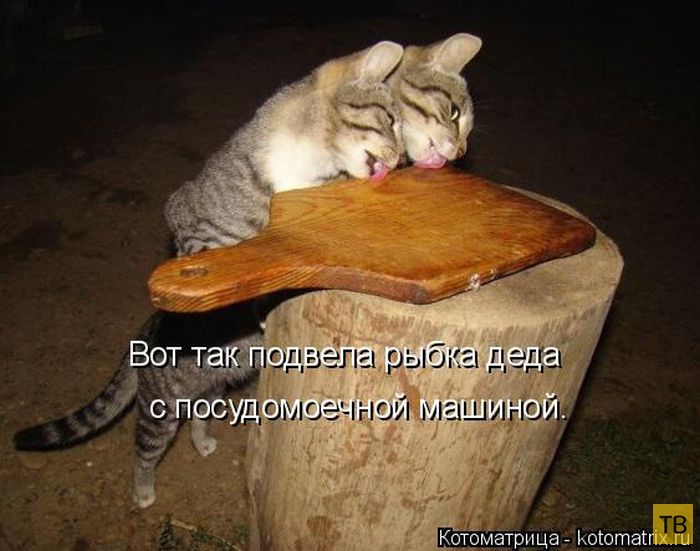 ������ ����������� ������, ����� 14 (50 ����)