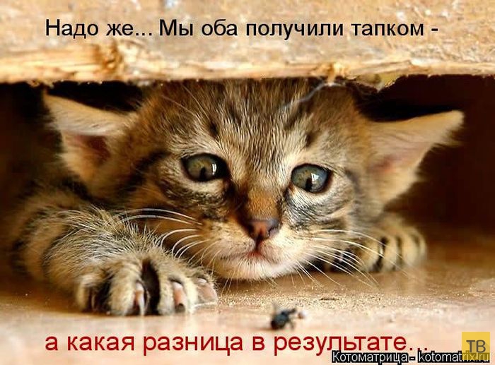 ������ ����������� ������, ����� 14 (50 ����)