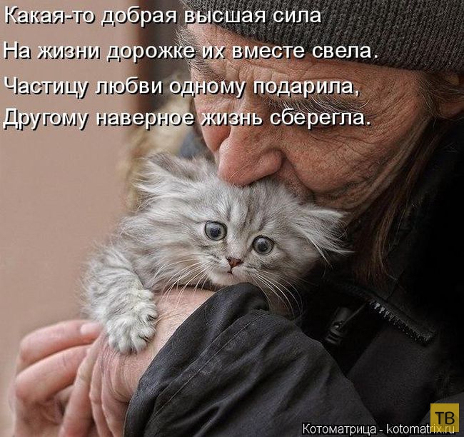 ������ ����������� ������, ����� 14 (50 ����)