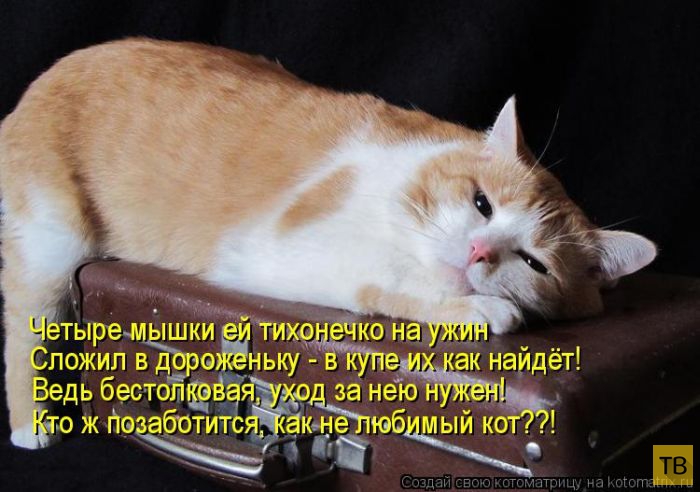 ������ ����������� ������, ����� 14 (50 ����)