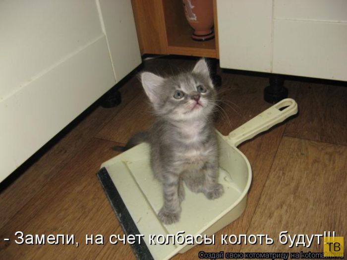 ������ ����������� ������, ����� 14 (50 ����)