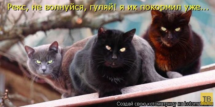 ������ ����������� ������, ����� 14 (50 ����)