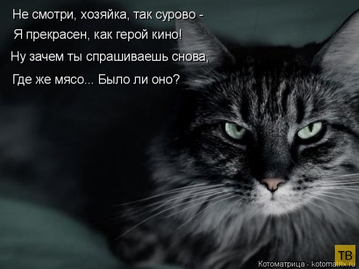 ������ ����������� ������, ����� 14 (50 ����)