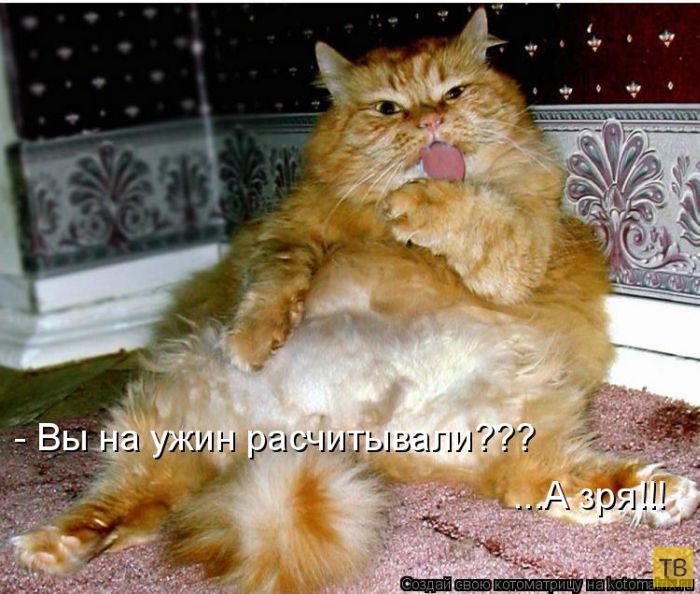 ������ ����������� ������, ����� 14 (50 ����)